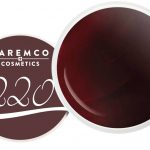 Krāsains gēls 220 Chestnut – 5g
